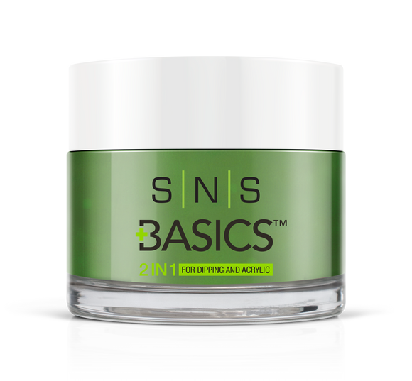 SNS Basics 1 + 1 Matching Dip Powder B024