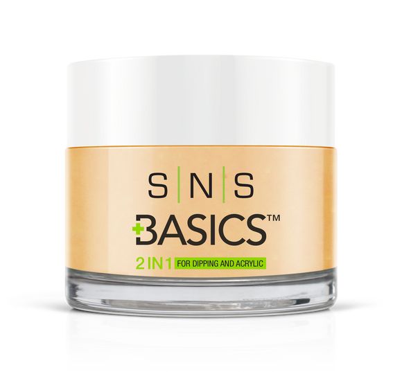 SNS Basics 1 + 1 Matching Dip Powder B079