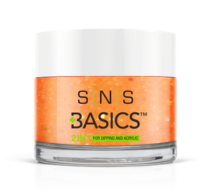 SNS Basics 1 + 1 Matching Dip Powder B099