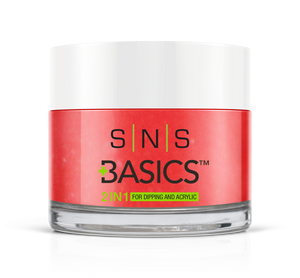 SNS Basics 1 + 1 Matching Dip Powder B023