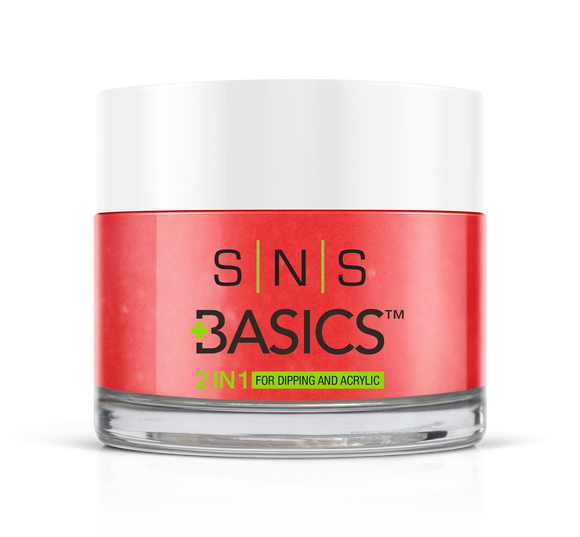 SNS Basics 1 + 1 Matching Dip Powder B023