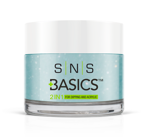 SNS Basics 1 + 1 Matching Dip Powder B069