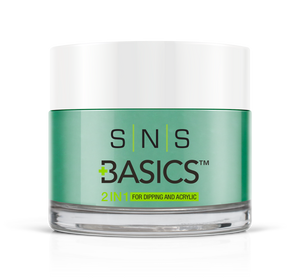 SNS Basics 1 + 1 Matching Dip Powder B015