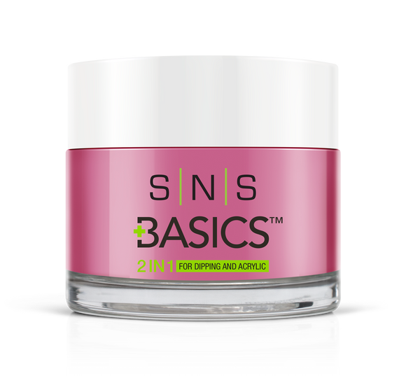 SNS Basics 1 + 1 Matching Dip Powder B078