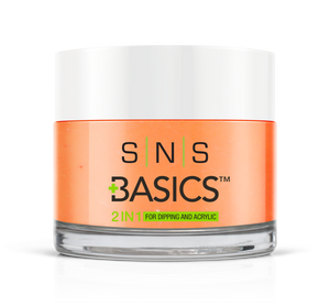 SNS Basics 1 + 1 Matching Dip Powder B083