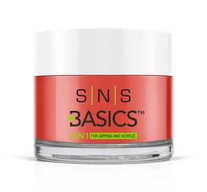 SNS Basics 1 + 1 Matching Dip Powder B075