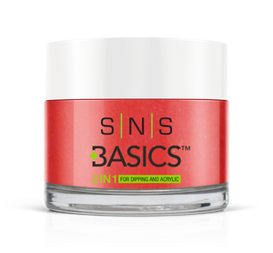 SNS Basics 1 + 1 Matching Dip Powder B093