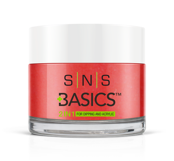 SNS Basics 1 + 1 Matching Dip Powder B093