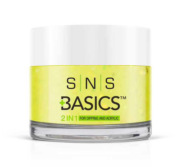 SNS Basics 1 + 1 Matching Dip Powder B011