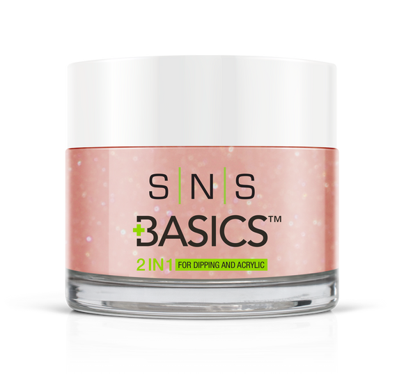 SNS Basics 1 + 1 Matching Dip Powder B121