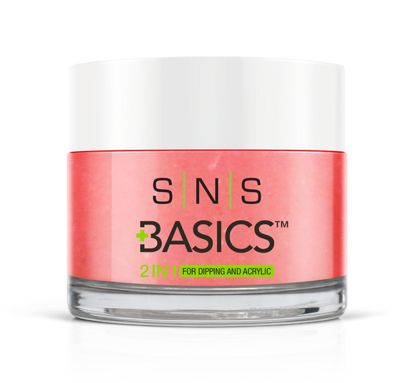 SNS Basics 1 + 1 Matching Dip Powder B089