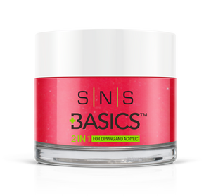 SNS Basics 1 + 1 Matching Dip Powder B008