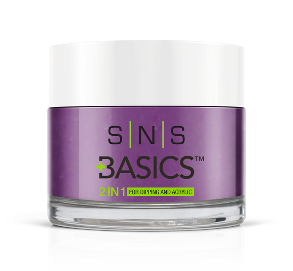 SNS Basics 1 + 1 Matching Dip Powder B102