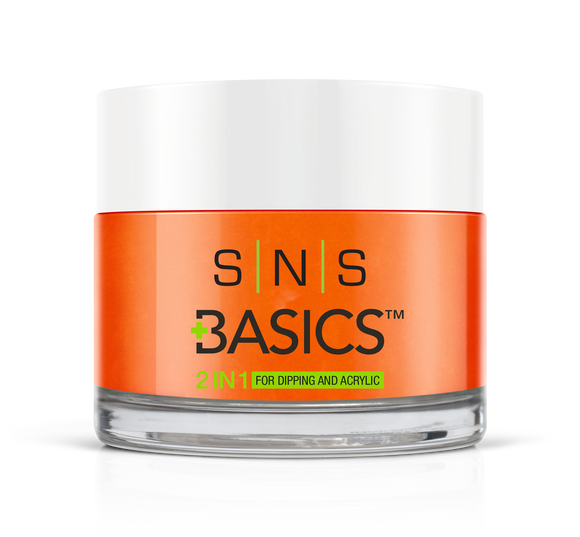 SNS Basics 1 + 1 Matching Dip Powder B132