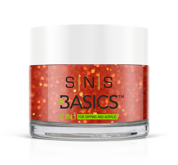 SNS Basics 1 + 1 Matching Dip Powder B047