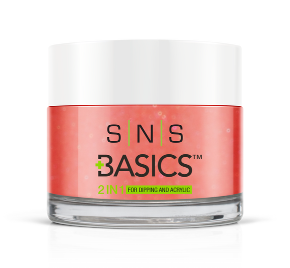 SNS Basics 1 + 1 Matching Dip Powder B098