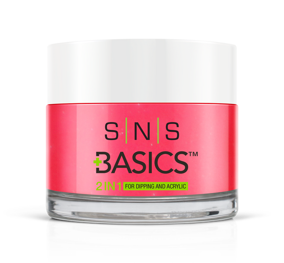 SNS Basics 1 + 1 Matching Dip Powder B004