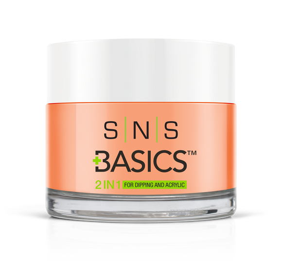 SNS Basics 1 + 1 Matching Dip Powder B029
