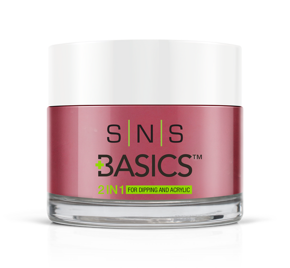 SNS Basics 1 + 1 Matching Dip Powder B143