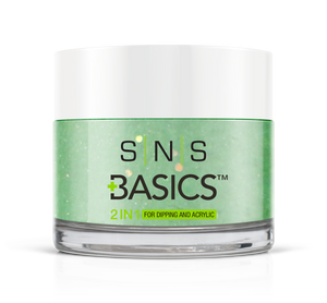 SNS Basics 1 + 1 Matching Dip Powder B111