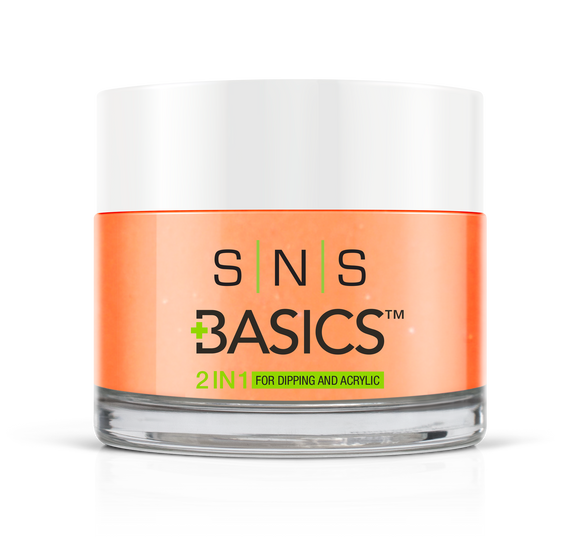 SNS Basics 1 + 1 Matching Dip Powder B133