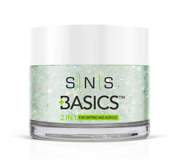 SNS Basics 1 + 1 Matching Dip Powder B050