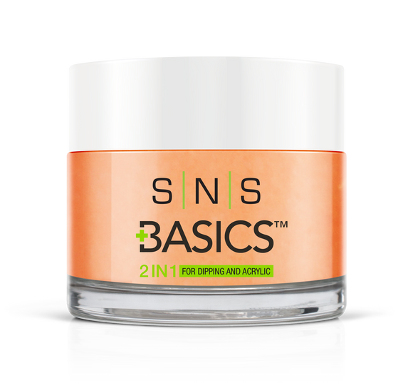 SNS Basics 1 + 1 Matching Dip Powder B150
