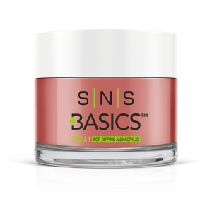 SNS Basics 1 + 1 Matching Dip Powder B066