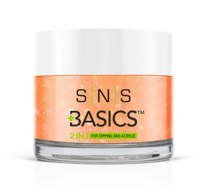SNS Basics 1 + 1 Matching Dip Powder B148