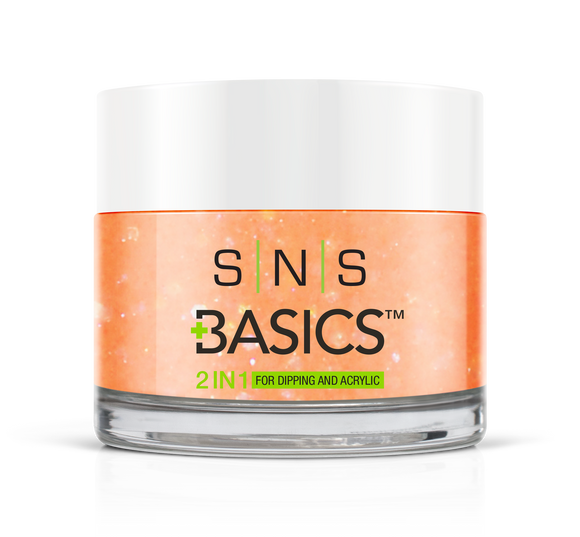 SNS Basics 1 + 1 Matching Dip Powder B148