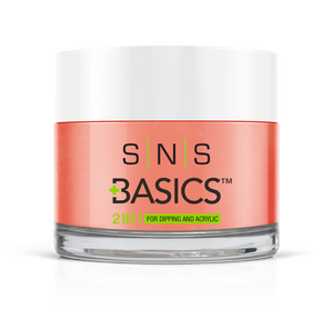SNS Basics 1 + 1 Matching Dip Powder B106