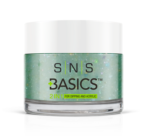 SNS Basics 1 + 1 Matching Dip Powder B036