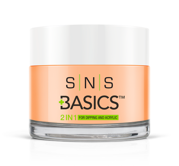 SNS Basics 1 + 1 Matching Dip Powder B022