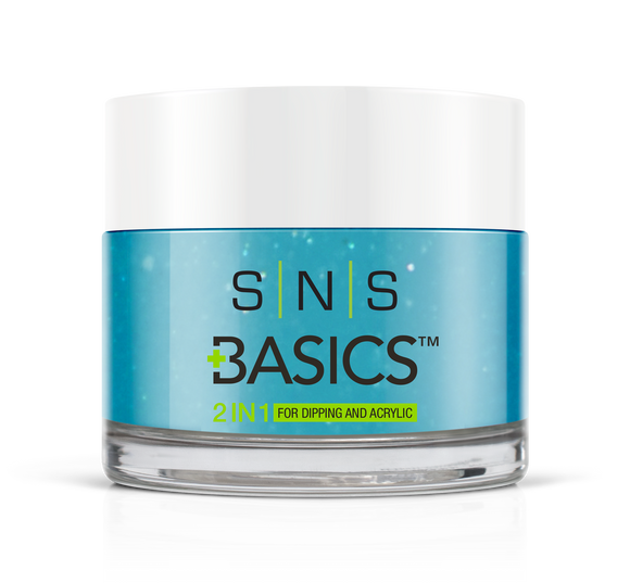 SNS Basics 1 + 1 Matching Dip Powder B108